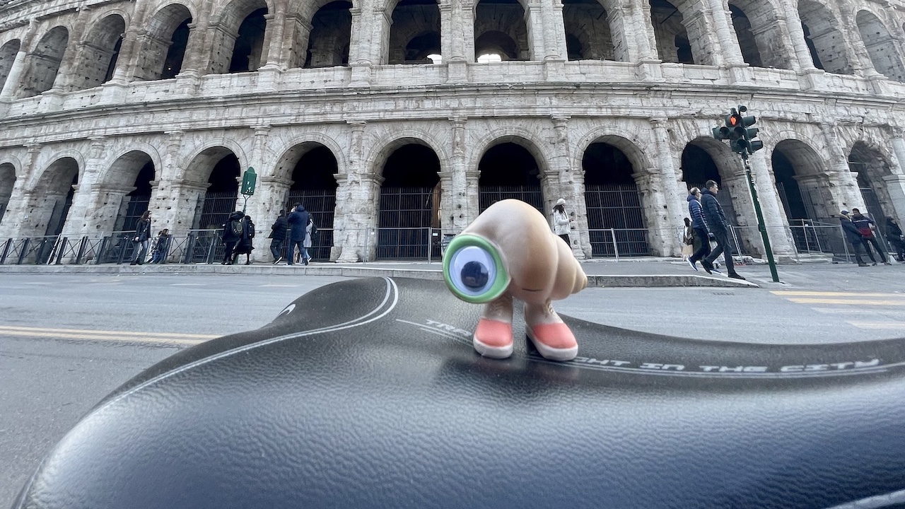 marcel the shell cinematographe.it