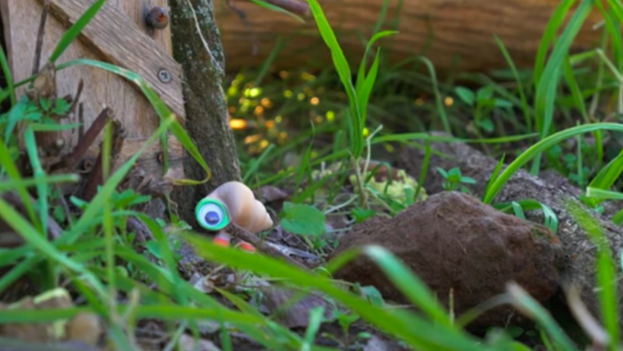 Marcel The Shell e quel prezioso insegnamento sul giardinaggio [VIDEO]