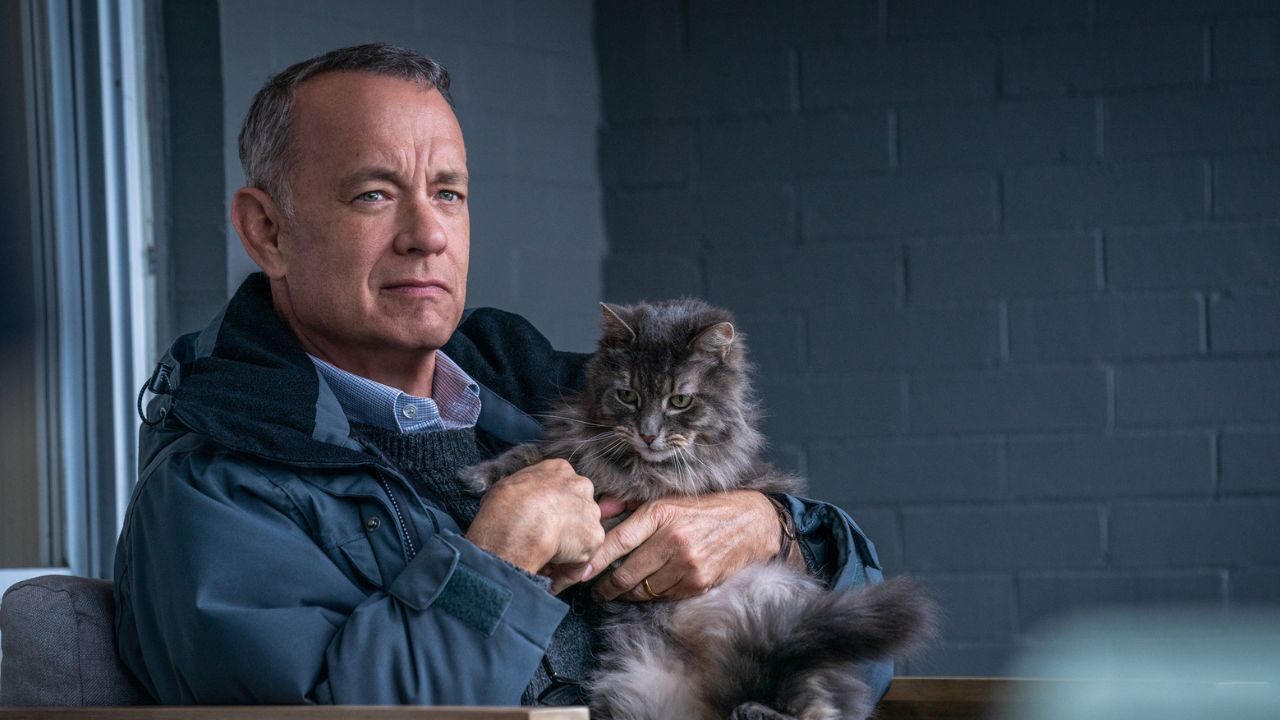 Non così vicino: recensione del film con Tom Hanks