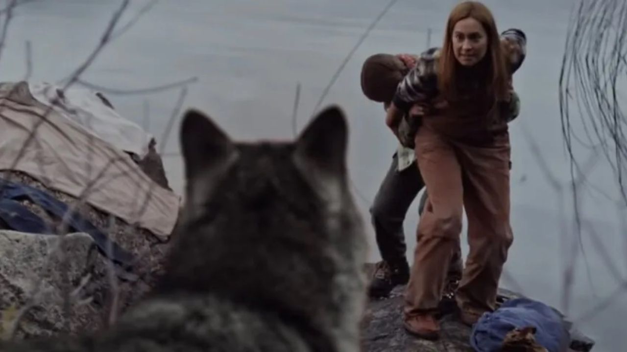 Wolf Hunter - Cinematographe