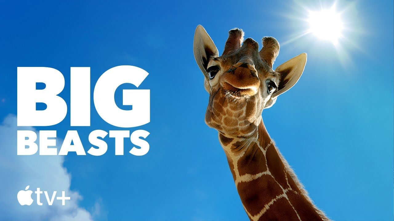 Big Beasts – Maestose Creature: il trailer della docuserie narrata da Tom Hiddleston