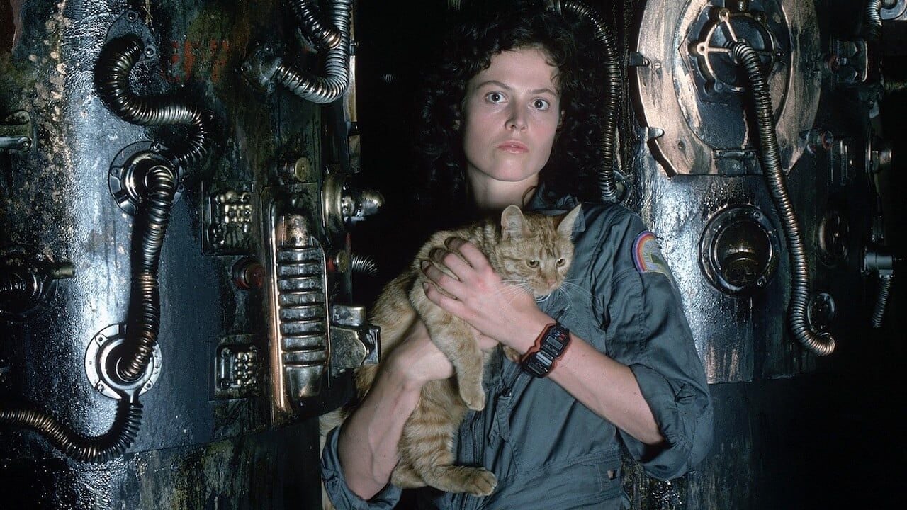 Alien; cinematographe.it