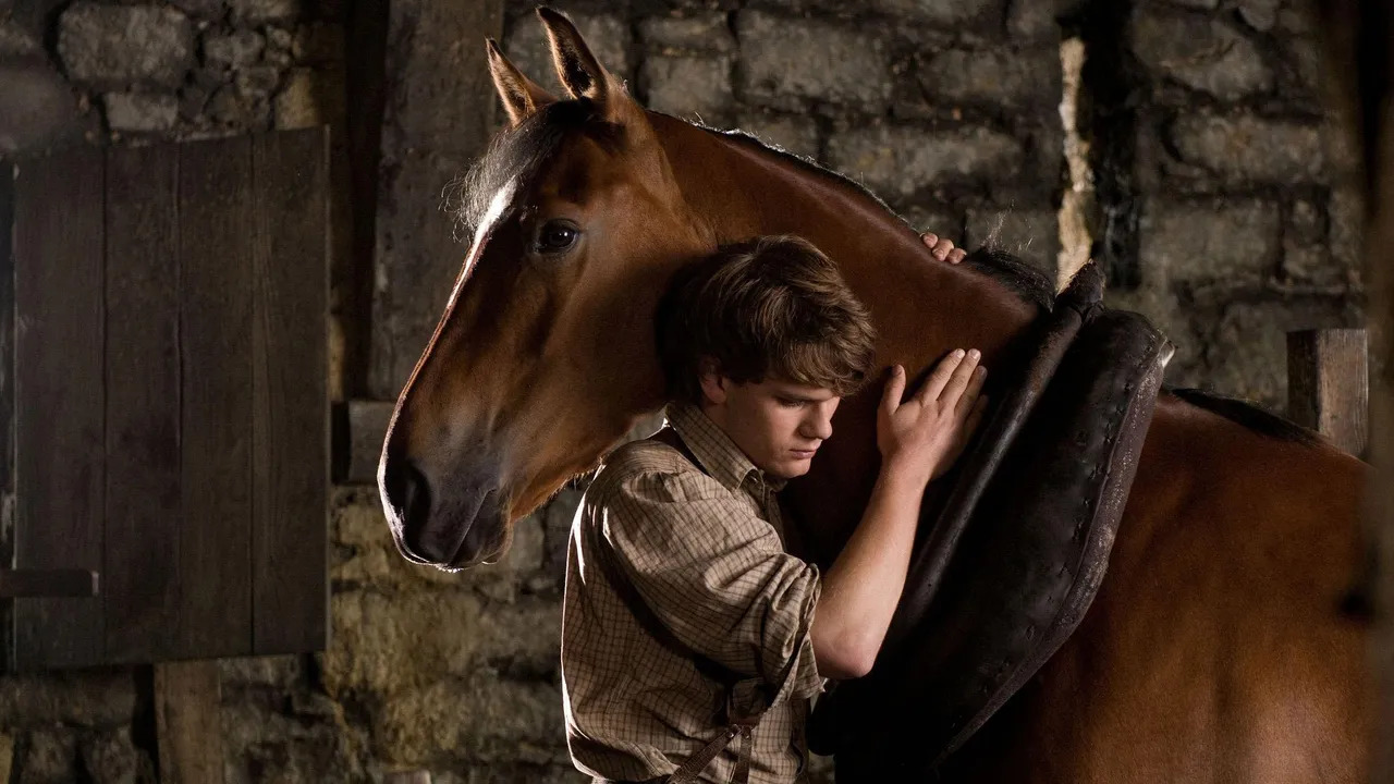 war horse cinematographe.it