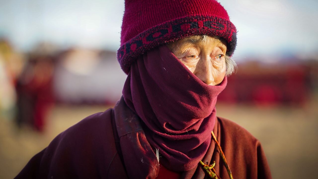 Il respiro della foresta: recensione del documentario di Jin Huaqing