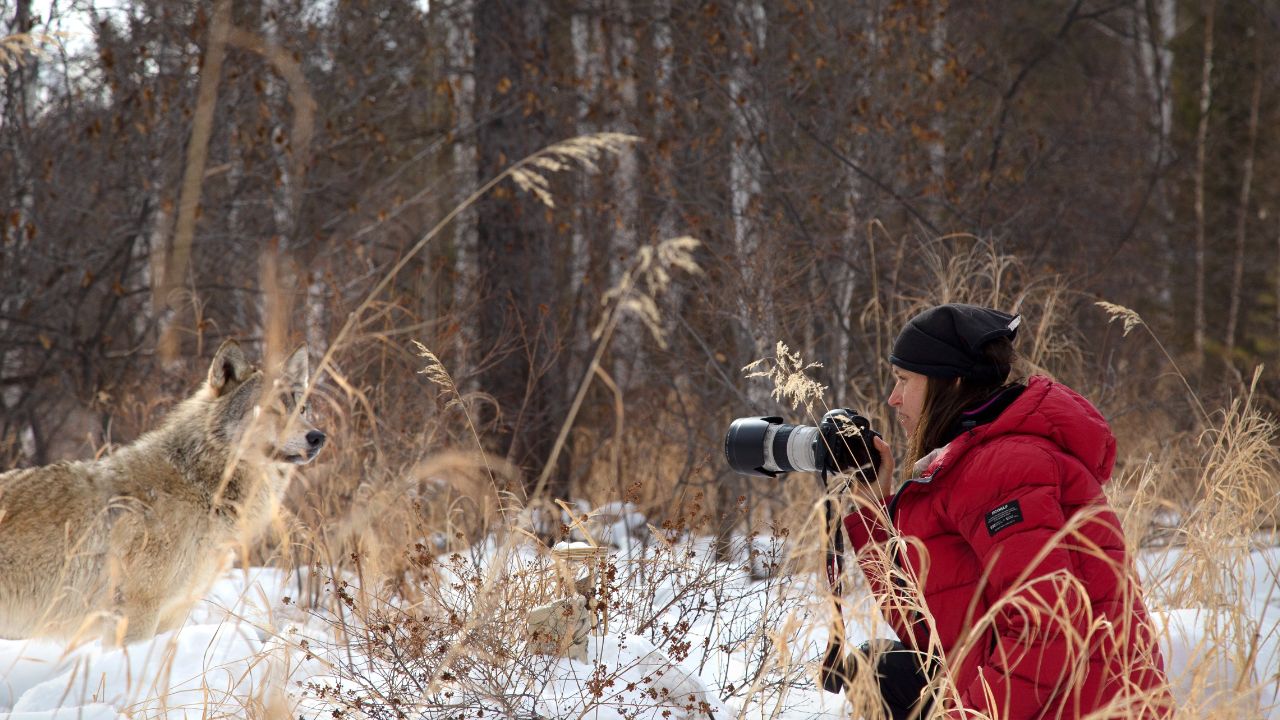 Earth Protectors, cinematographe.it