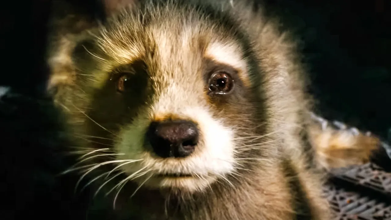 Rocket Raccoon ci ha spezzato il cuore (e insegnato il rispetto)