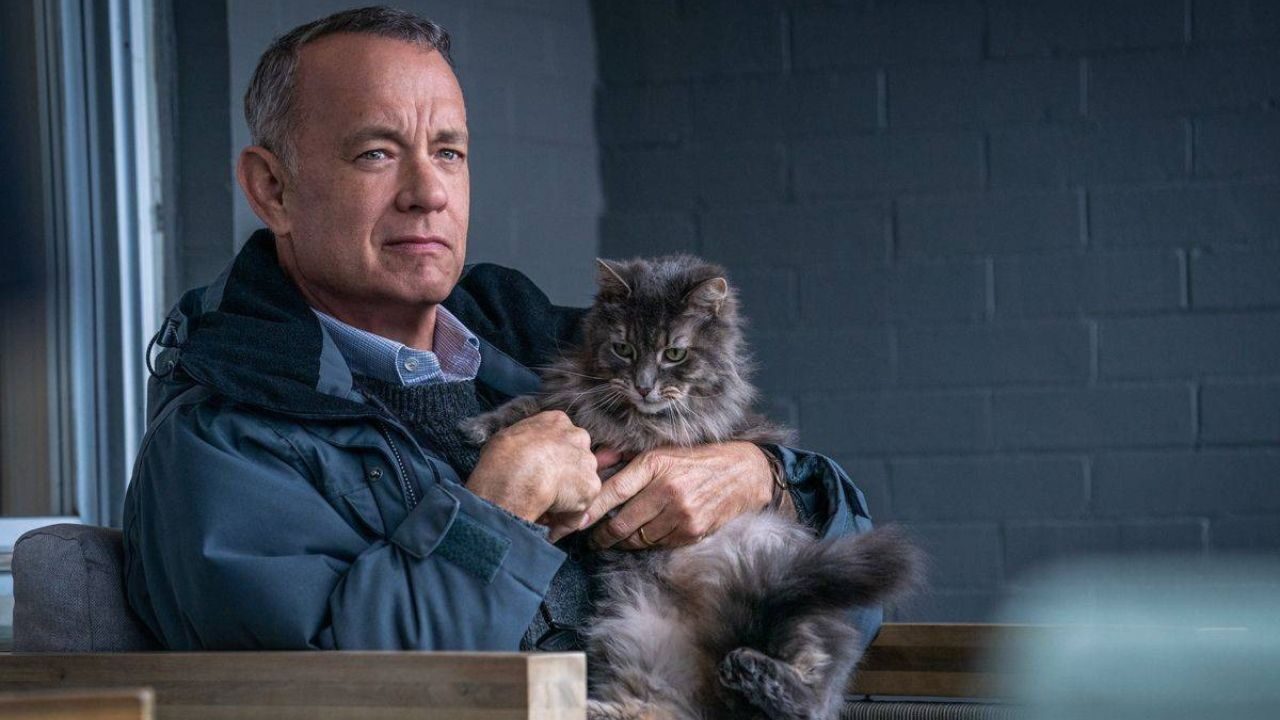 Tom Hanks e quella volta che rifiutò il ruolo in Harry ti presento Sally per un dettaglio della sceneggiatura