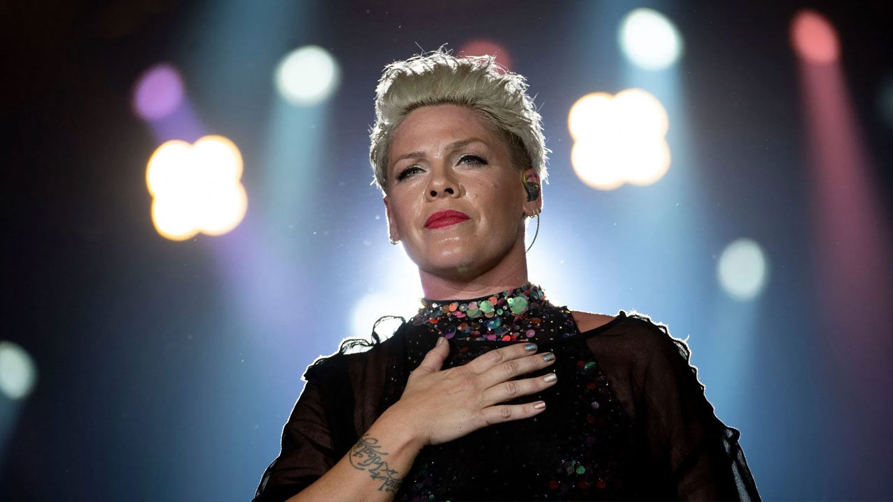 Pink e quel gesto d’affetto particolare (e un po’ macabro) ricevuto da un fan durante un concerto: il video è virale!