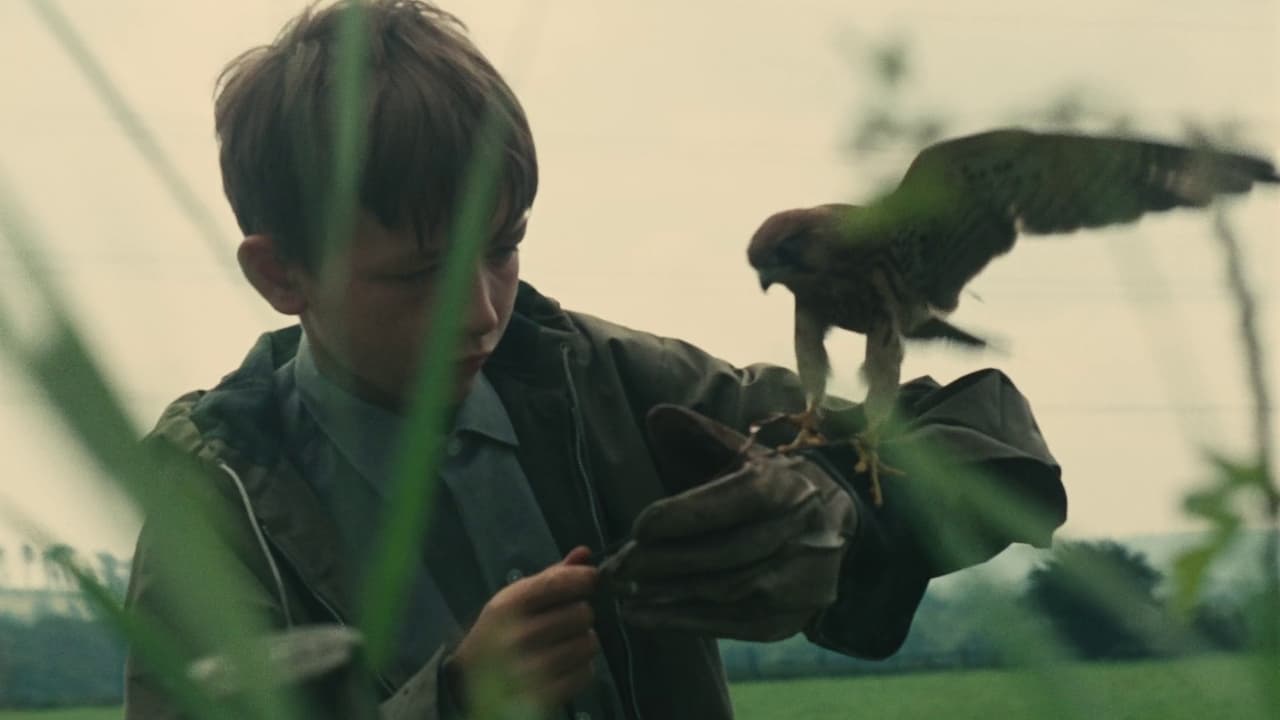 Film Kes - Cinematographe