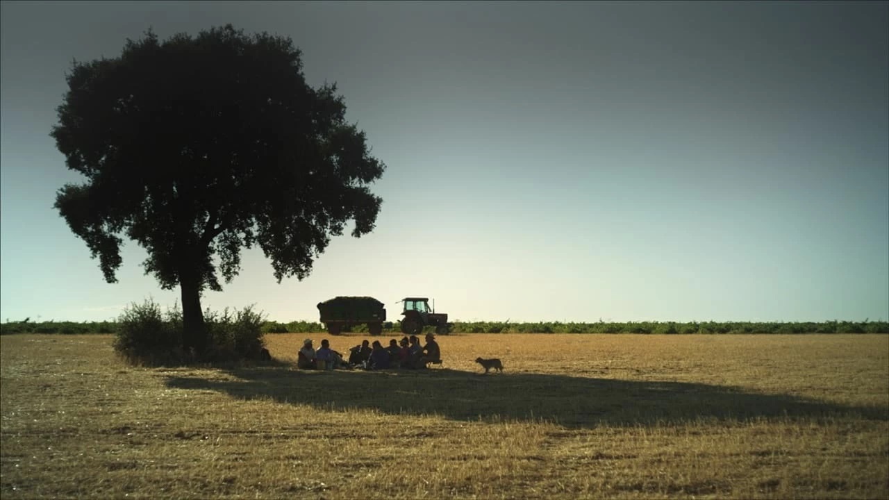 Una storia vera - Cinematographe