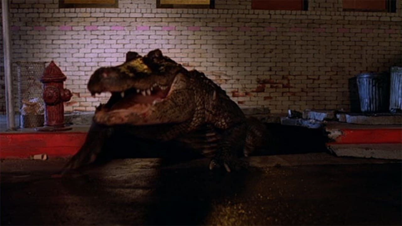 Alligator; Cinematographe.it