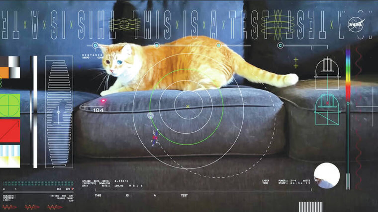 Taters come Jones di Alien: la Nasa trasmette dallo spazio il video di un gatto arancione che gioca!