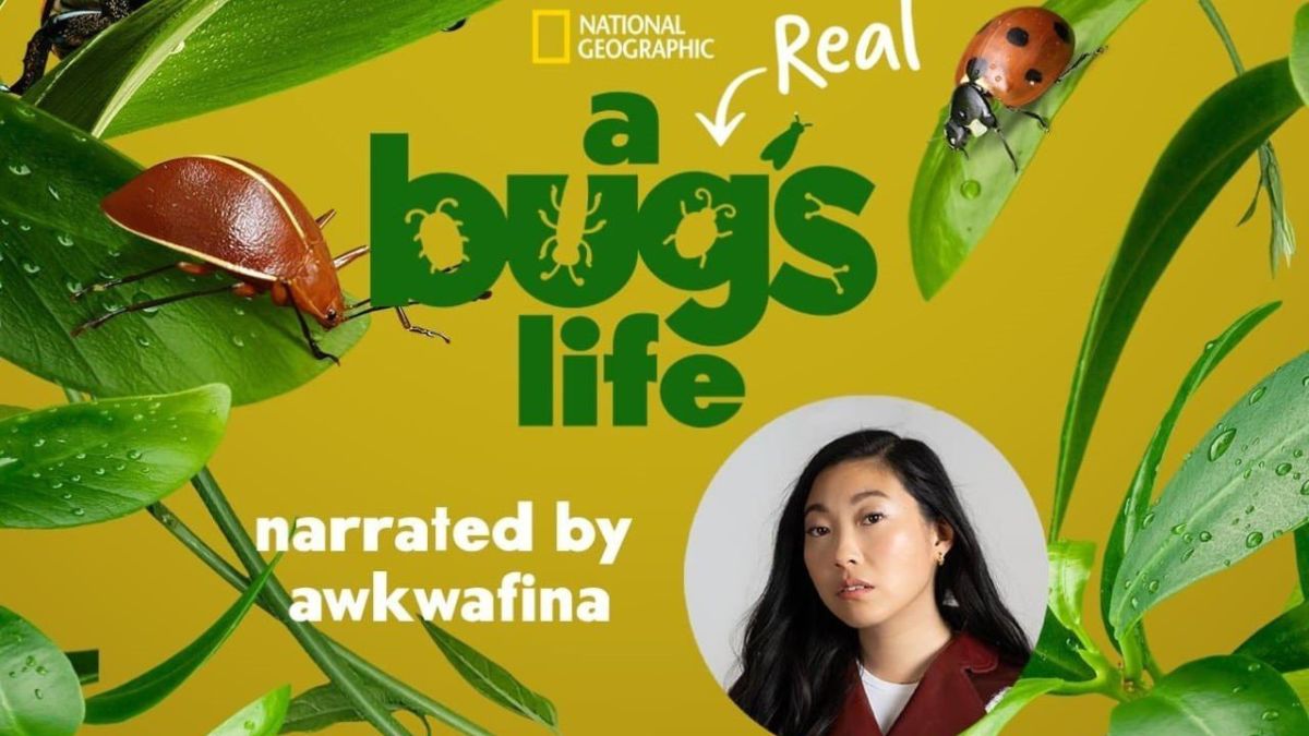 A Real Bug’s Life – Megaminimondo: recensione della miniserie Disney+