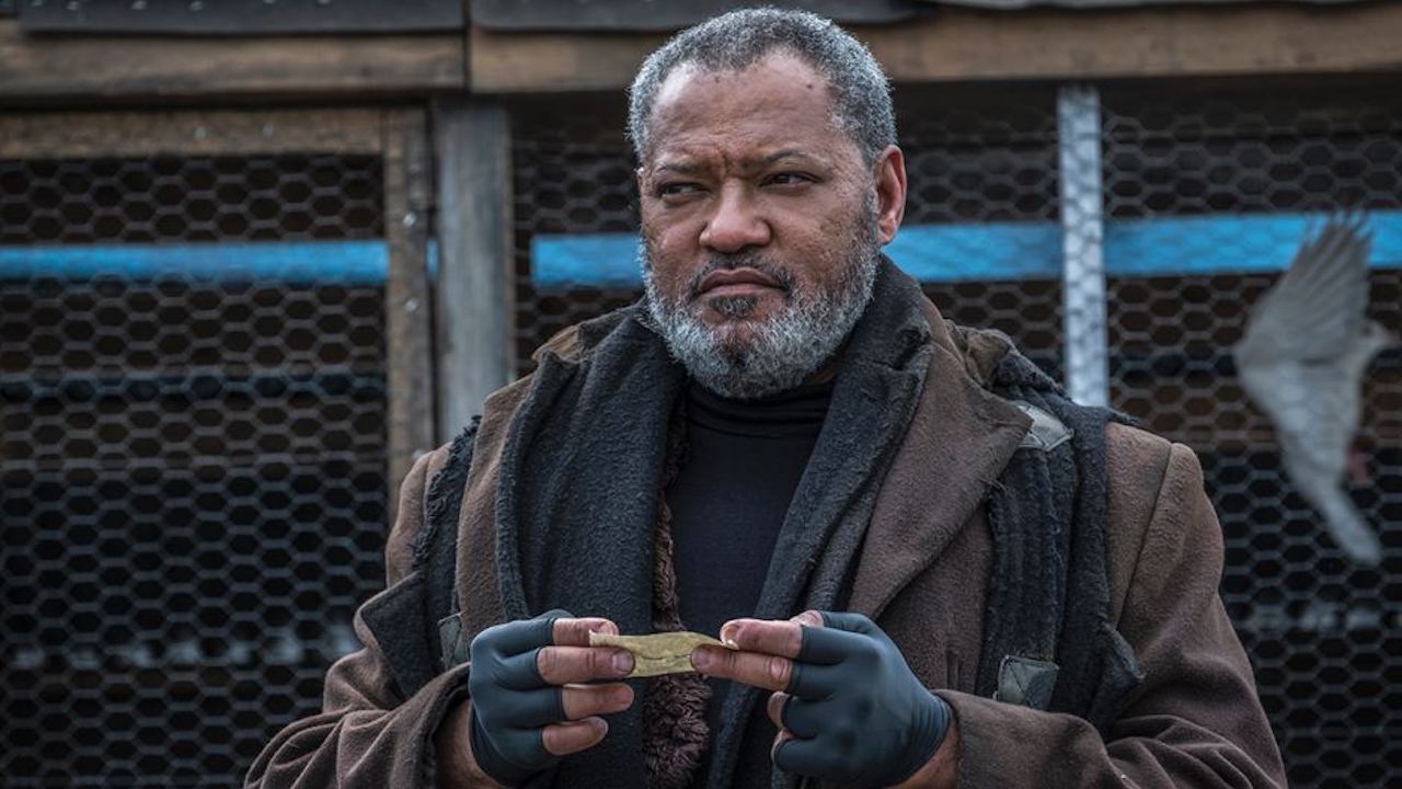 The Witcher – Stagione 4, Laurence Fishburne entra nel cast: interpreterà un celebre personaggio!