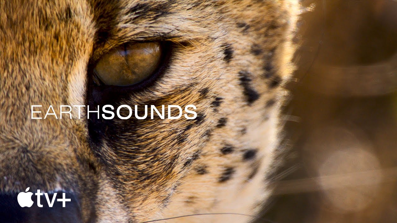 Earthsounds: i suoni del pianeta, il trailer della docuserie narrata da Tom Hiddleston