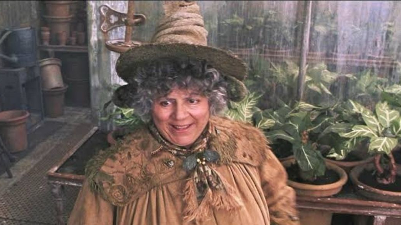 Miriam Margolyes Harry Potter - cinematographe.it