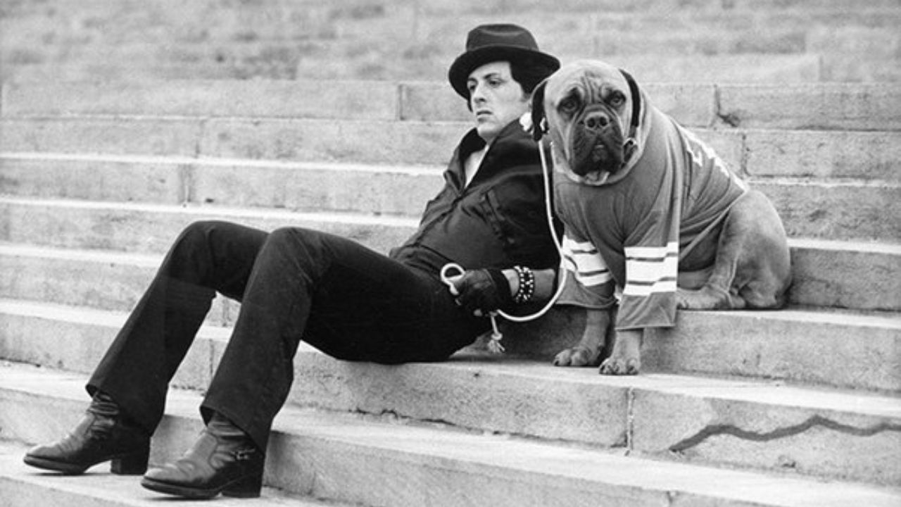Sylvester Stallone e l’emozionante storia del suo cane Butkus che farà piangere i fan di Rocky