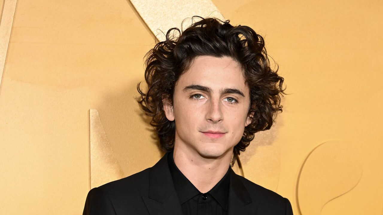 Timothée Chalamet; cinematographe.it