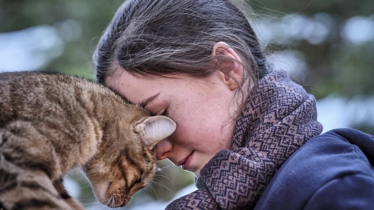 Vita da gatto: recensione del film di Guillame Maidatchevsky