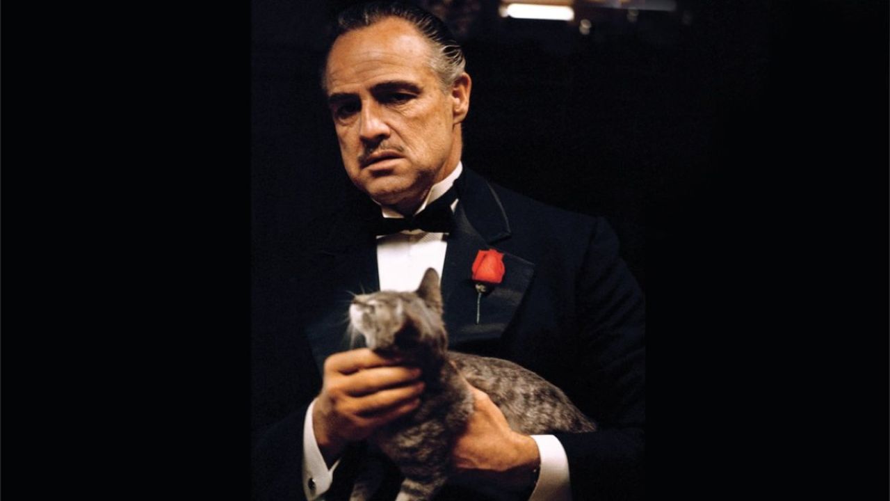 Il Padrino e la curiosa storia del gatto che ha quasi rovinato la scena più leggendaria del film con Marlon Brando