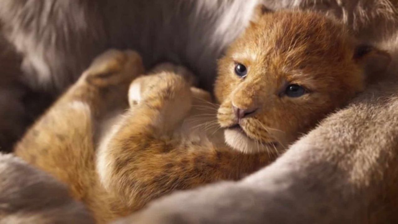 Mufasa: Il Re Leone, la prima immagine ufficiale che annuncia il trailer