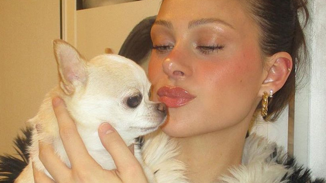 Nicola Peltz Beckam cane - cinematographe.it