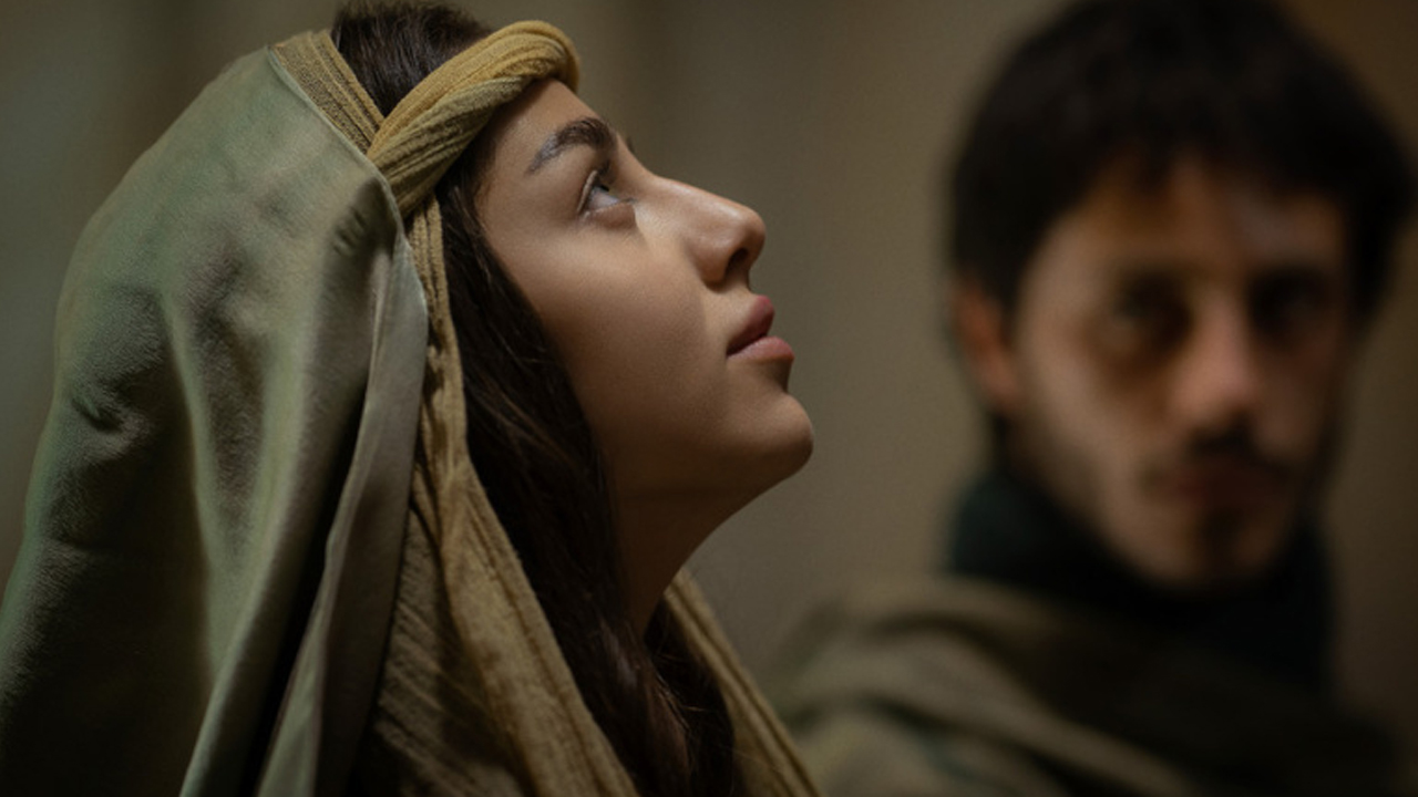 Noah Cohen Mary - cinematographe.it