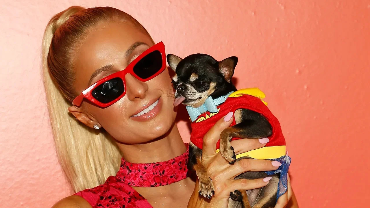 Paris Hilton dona 800.000 dollari per gli incendi di Los Angeles: “Il dolore è indescrivibile”