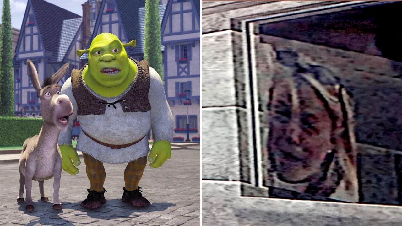 Shrek ha un segreto che nessuno conosce: chi è quella donna misteriosa al minuto 21?