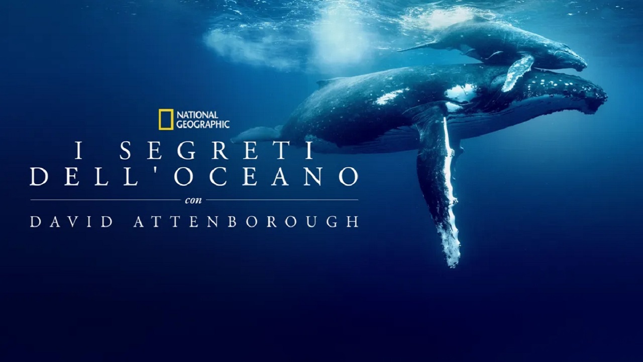 I segreti dell’oceano con David Attenborough: trailer e data d’uscita del documentario Disney+