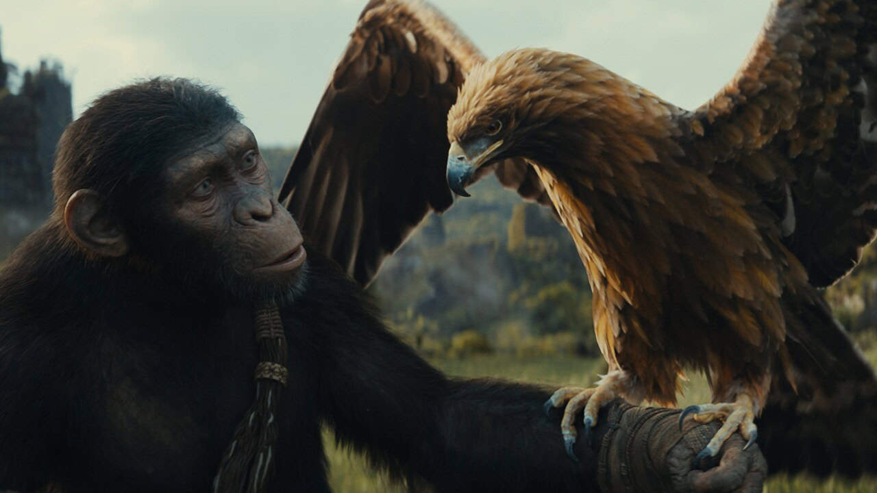 Il regno del pianeta delle scimmie - cinematographe.it