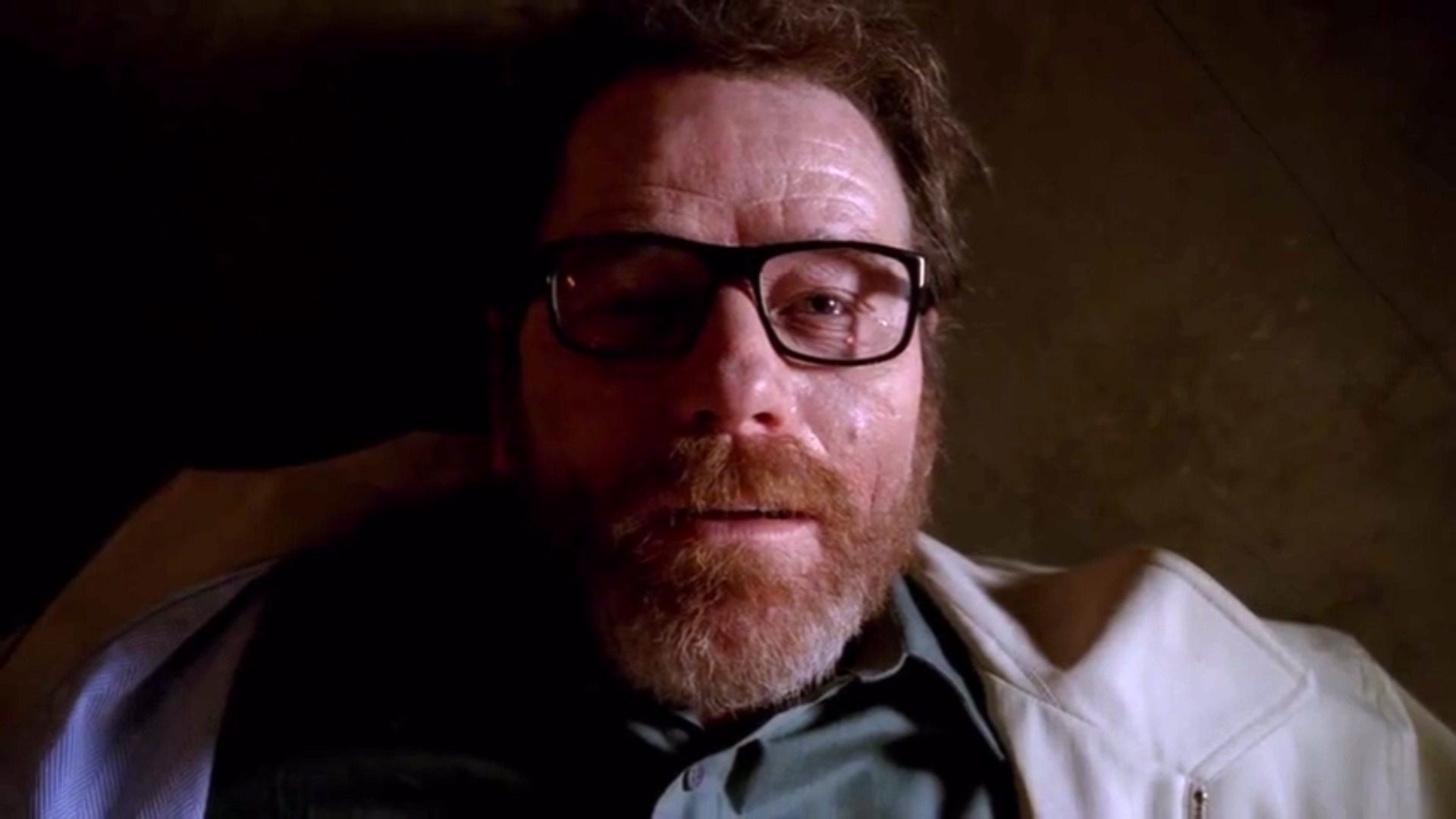 breaking bad felina cinematographe.it