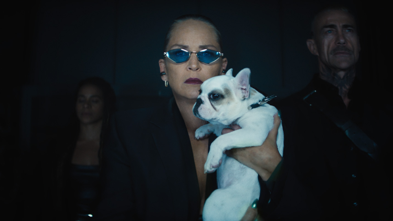 Sharon Stone Io sono nessuno 2 cinematographe.it
