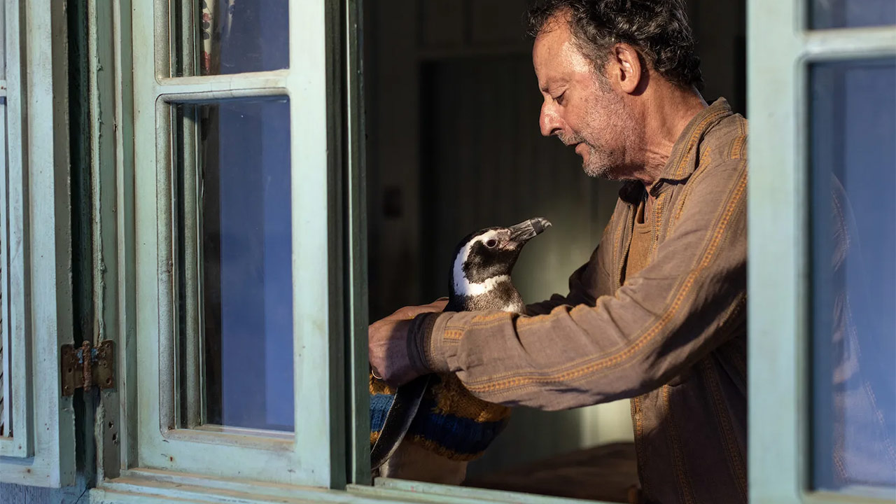Il mio amico pinguino: trailer e data d’uscita del film con Jean Reno ispirato a una storia vera