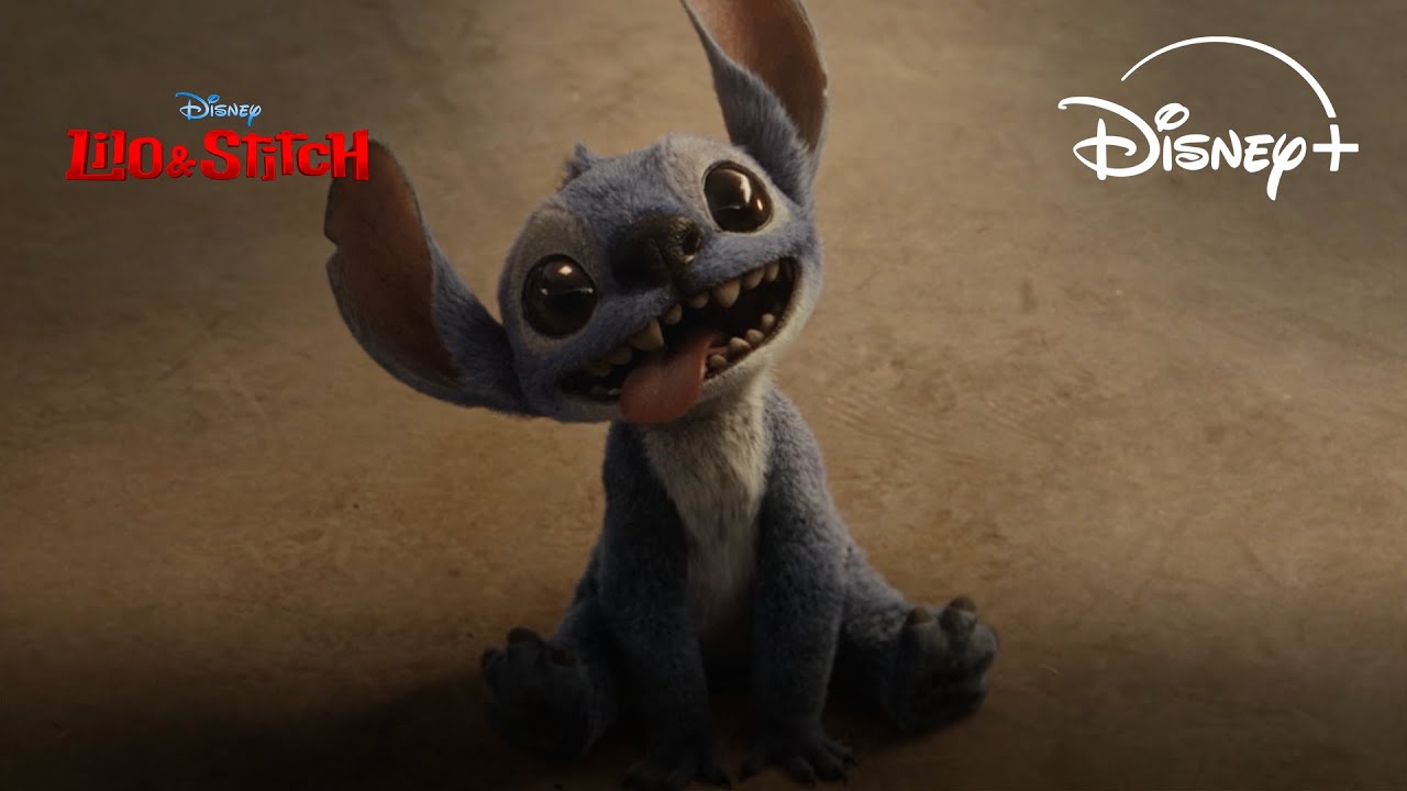 Lilo & Stitch, il live action campione d’incassi arriva su Disney+: la data d’uscita