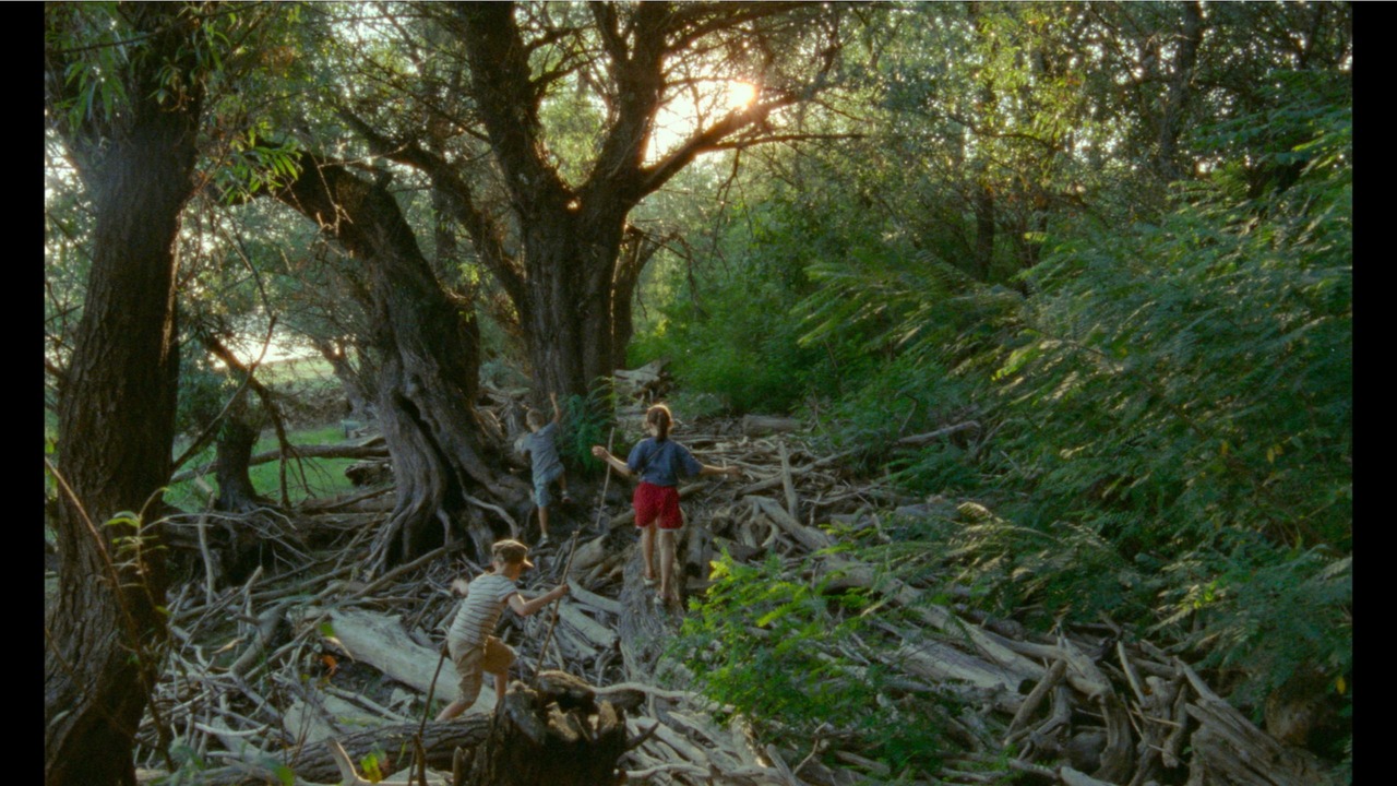 Short summer recensione film