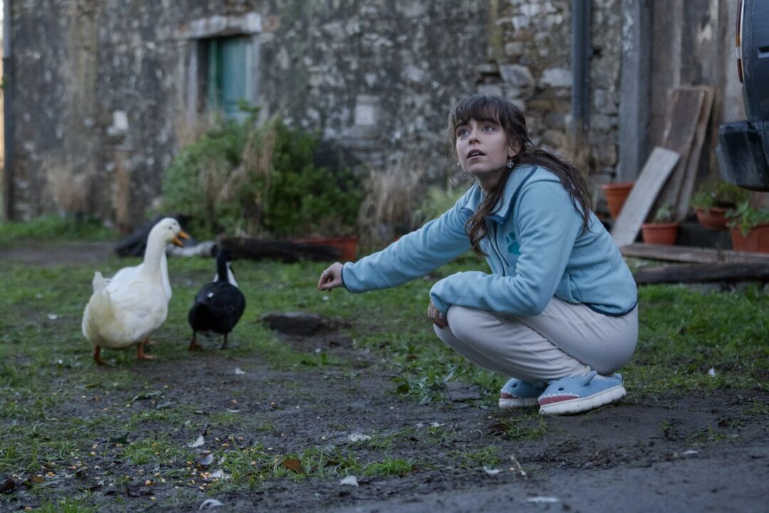 Netflix ha rinnovato una delle migliori serie dell’anno per una seconda stagione (con un cast davvero insolito)