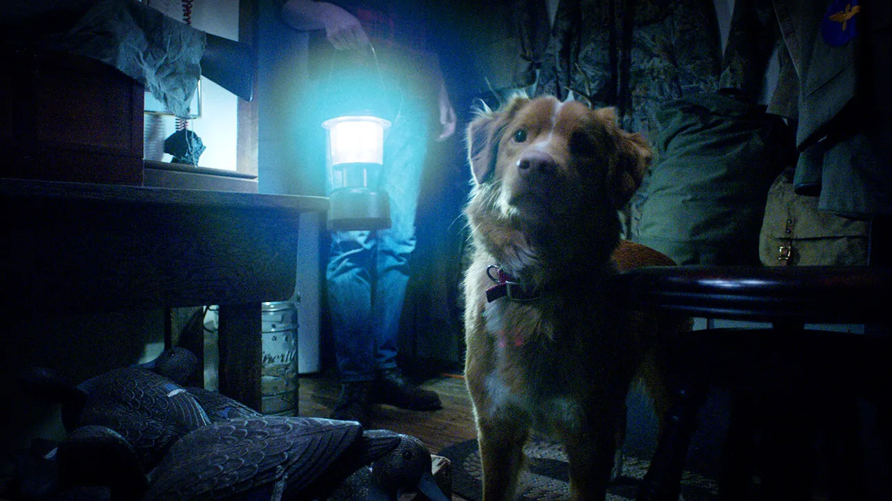 Good Boy Cinematographe.it