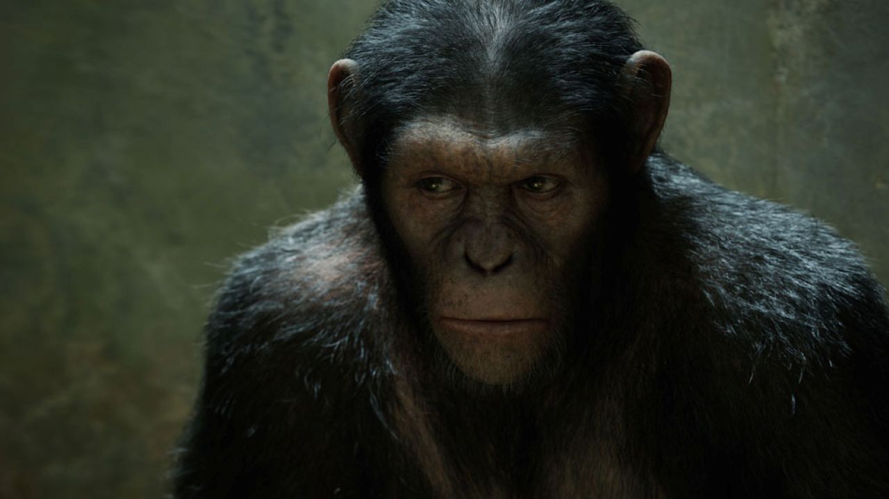 Andy Serkis - Cinematographe.it