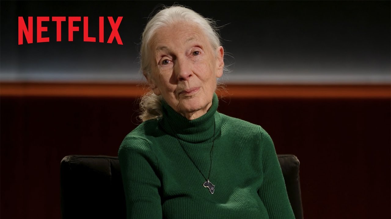Il controverso nuovo programma di Netflix sulle ultime parole famose