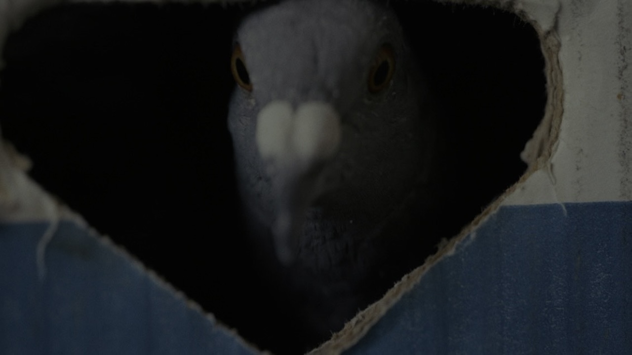 Il Viaggio di ritorno: recensione del documentario di Alessandro Guerriero