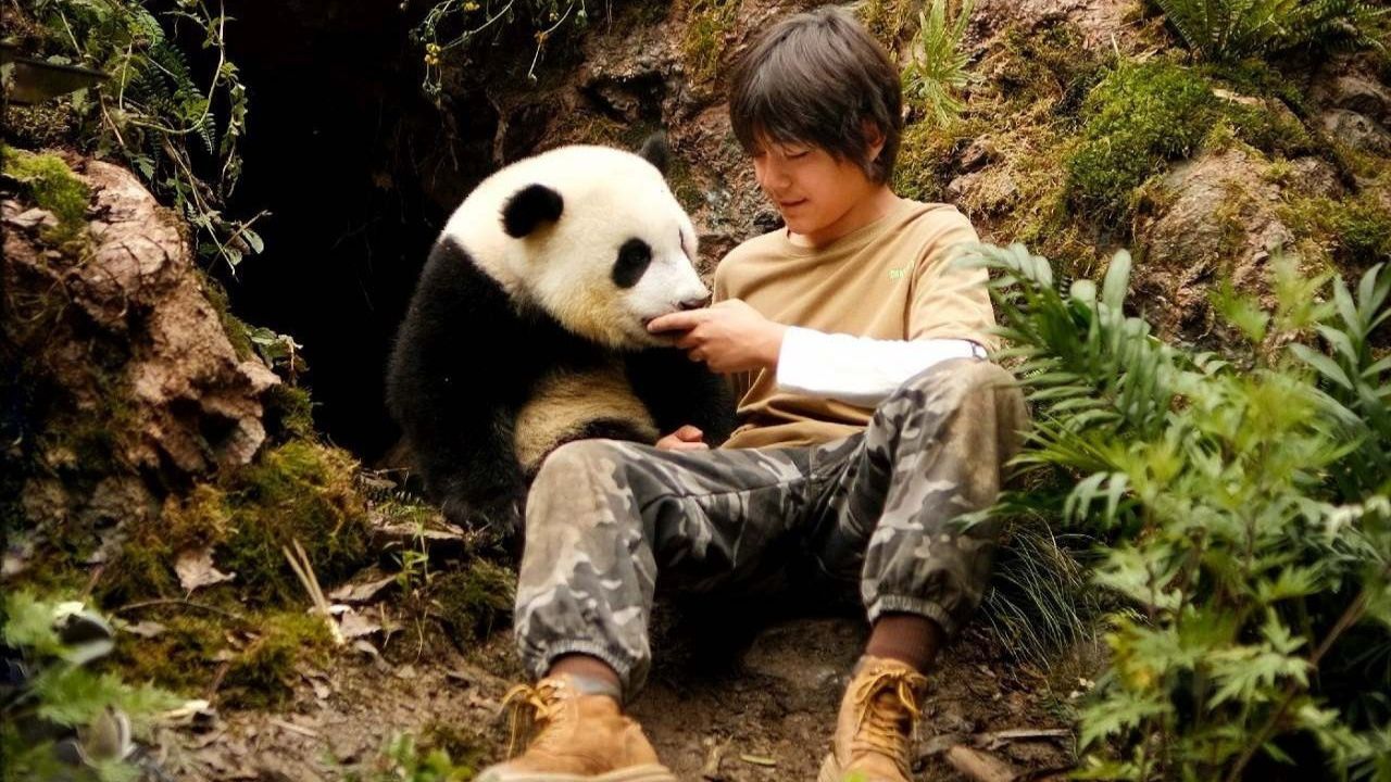 Moon il panda trama trailer cast - Cinematographe.it