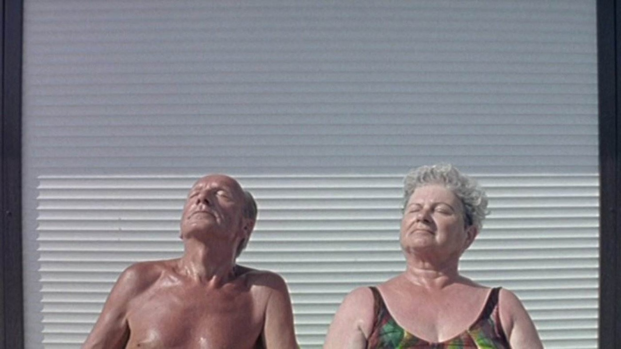 Canicola;
Cinematographe.it